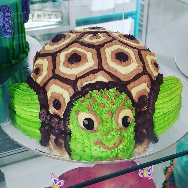 Turtle Cake brown and green