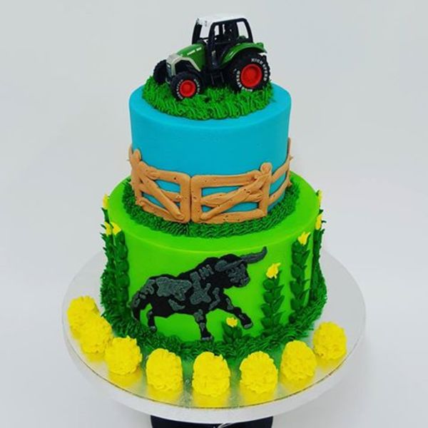 Two Tier Farm cake with Bull and Tractor